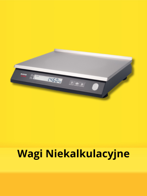 niekalkulacyjne_wagi